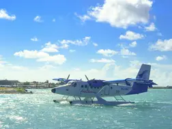 Video: Three killed, three injured in seaplane crash in Australia