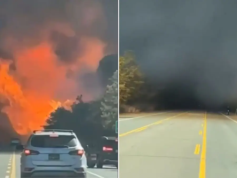 Watch | Scary visuals emerge as state of emergency declared in New York’s Long Island amid wildfires