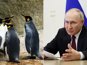 Taxing Penguins but not Putin? Russia wasn't on Trump's tariffs list. Here's what we know