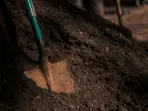 Haryana man kills tenant over alleged affair with wife, buries him alive in 7 foot pit