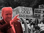 'Will find and deport you': Trump to sign order cancelling student visas of 'Hamas sympathisers'