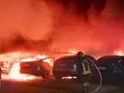 'Burn a Tesla, save democracy': Police investigate possible arson after over a dozen cars burned in Rome