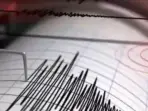 Massive earthquake of 6.4 magnitude strikes Tonga