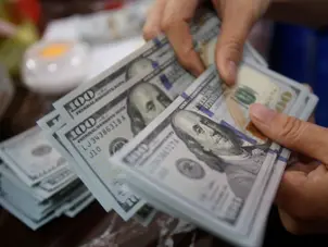 Fate of currencies: Dollar dominates as 2024's top currency