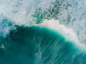 'Less likely than being struck by lightning': Australian beach witnesses rare occurrence
