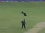 Champions Trophy, PAK vs NZ: Glenn Phillips stuns Pakistani crowd with terrific one-handed catch to dismiss Muhammad Rizwan | WATCH