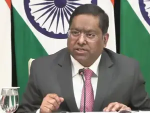'Will bring them back': India responds after US launches crackdown on illegal immigrants