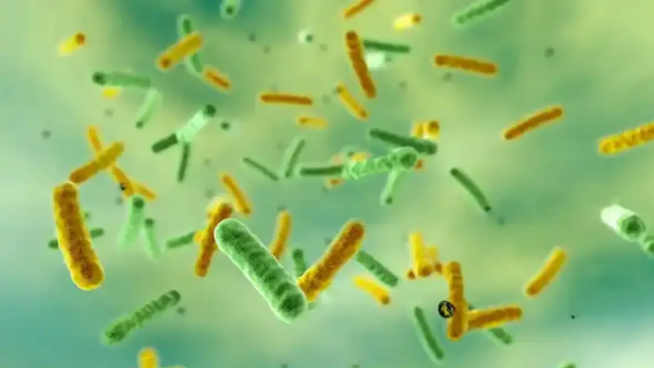 Microbes survive at NASA?