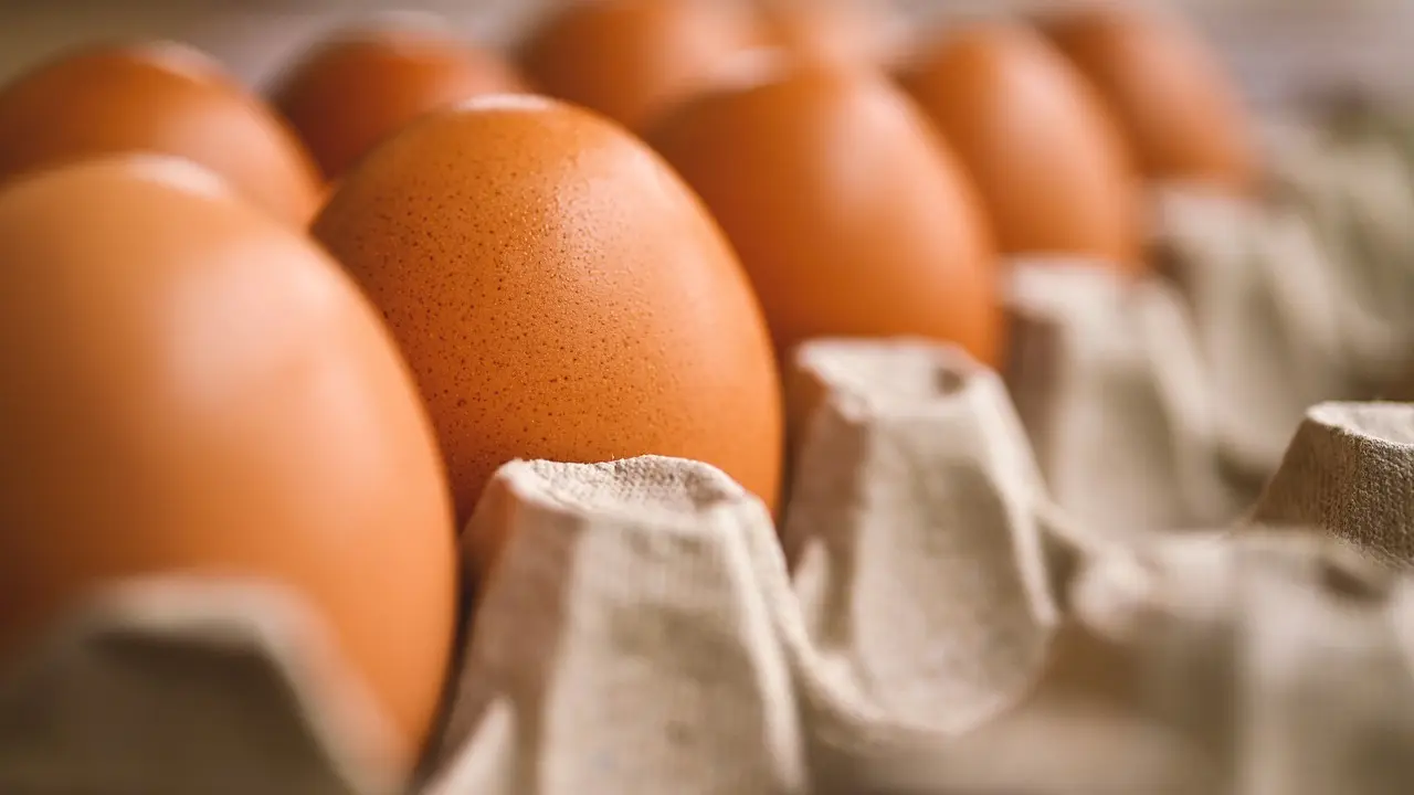 Americans smuggling eggs from Mexico, here’s why it is concerning