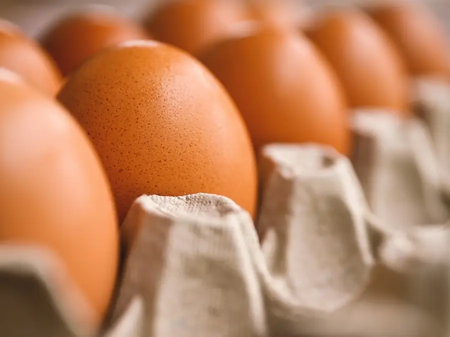 Americans smuggling eggs from Mexico, here’s why it is concerning