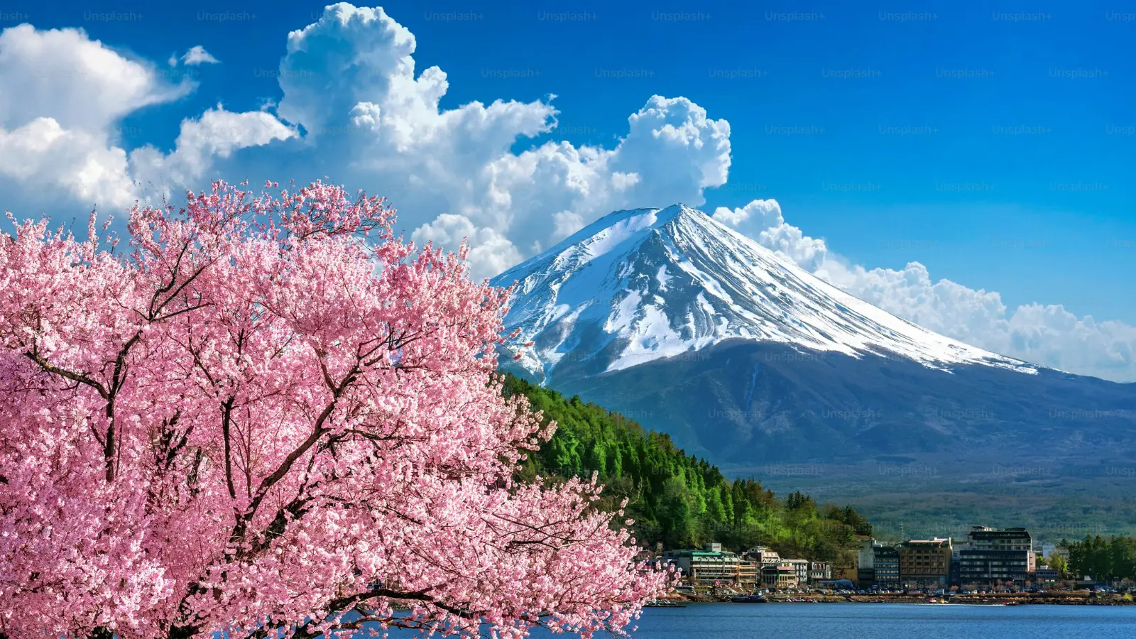 2. Japan 