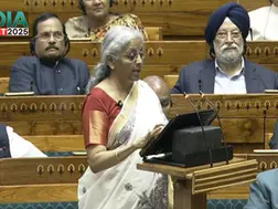 Union Budget 2025: FM Sitharaman proposes ID cards for gig workers, UPI-linked credit cards for street vendors