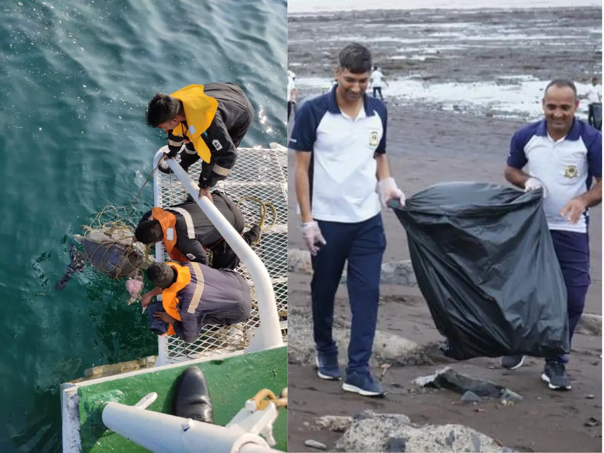 World Environment Day: Indian Coast Guard removed 194 tonnes plastic waste, protected lakhs of olive ridley turtles World Environment Day: Indian Coast Guard removed 194 tonnes plastic waste, protected lakhs of olive ridley turtles