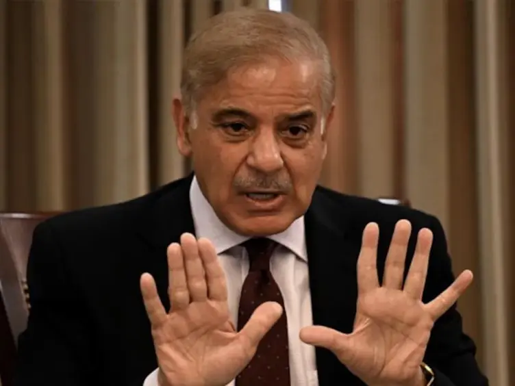 Pak PM Shehbaz says he went swimming after India