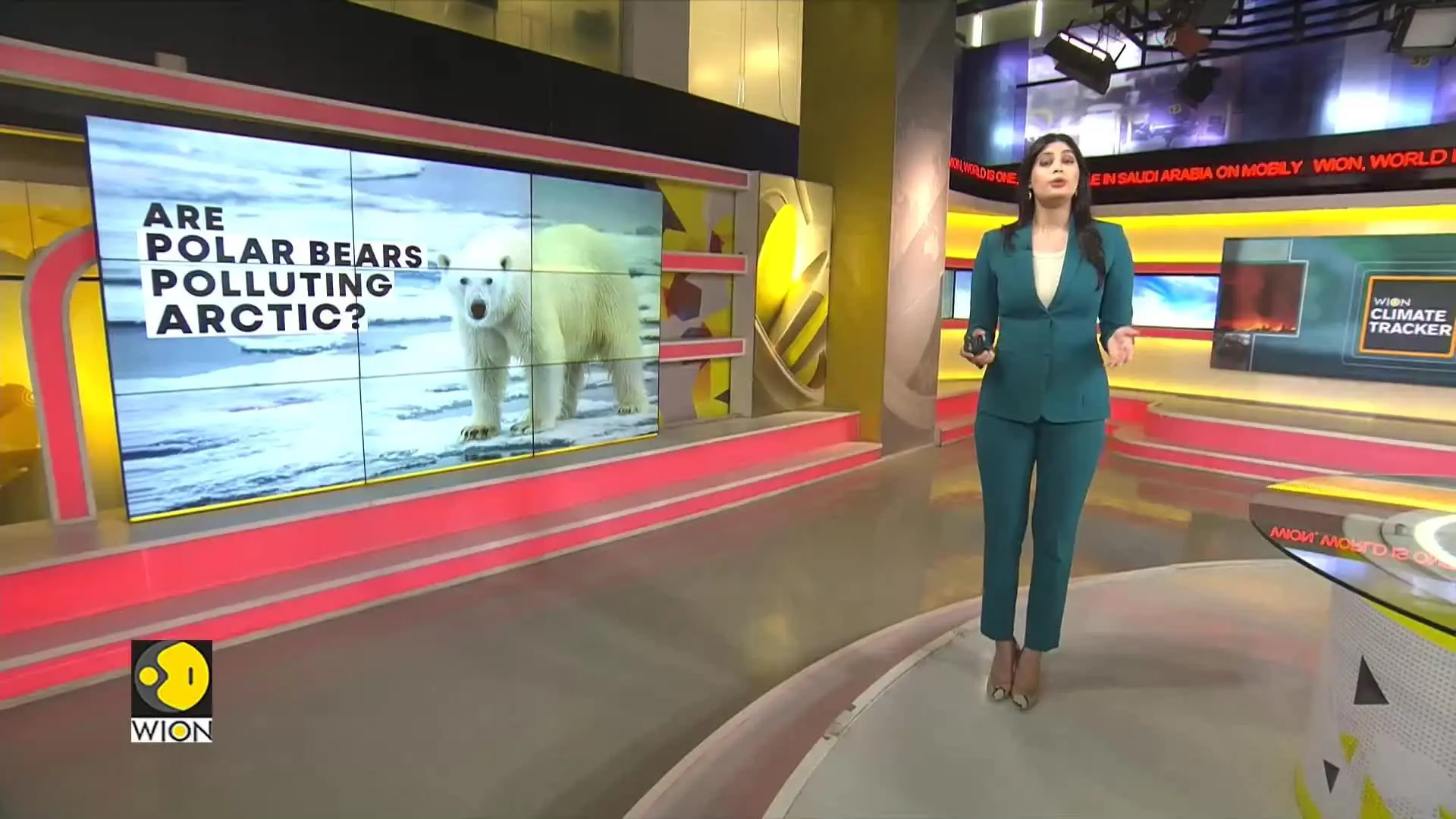  Study Finds Svalbard Bears Still Healthy