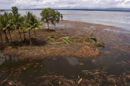Megatsunami threatens these three US states. Waves could reach as high as 1000ft, reveals study