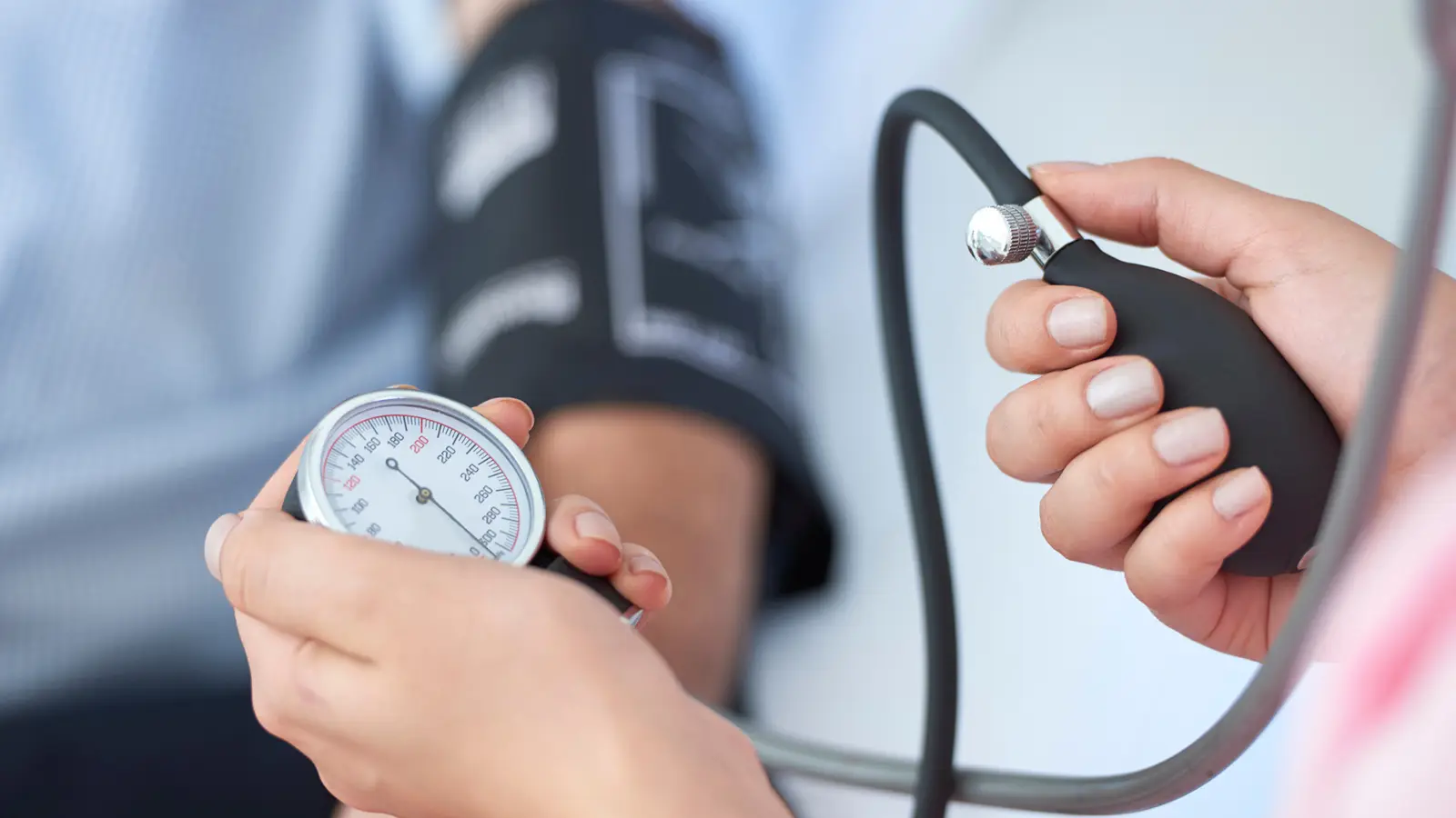 3. Blood Pressure Regulation