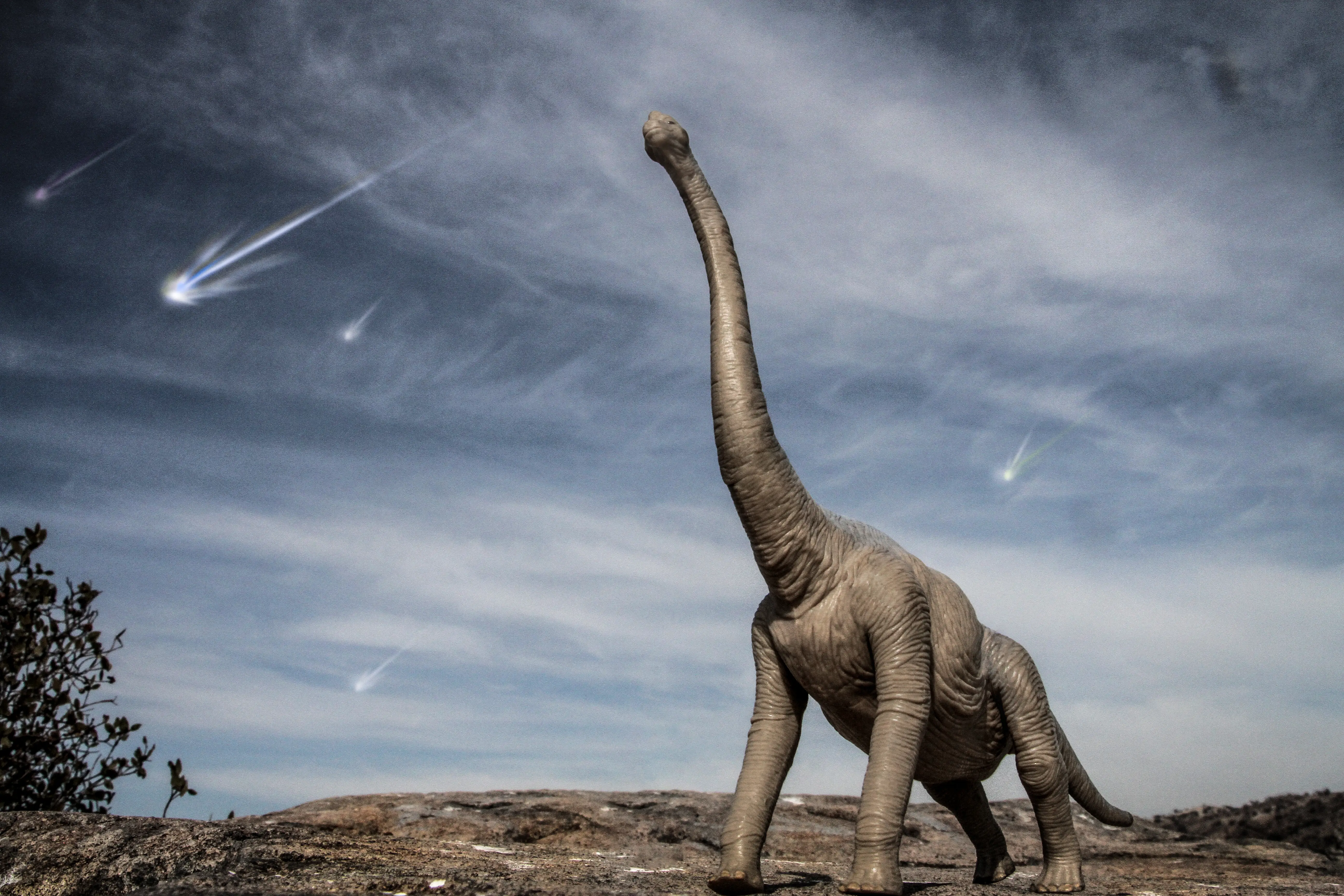 Pollen grains are telling the story of asteroids, dinosaurs, Mayans and others