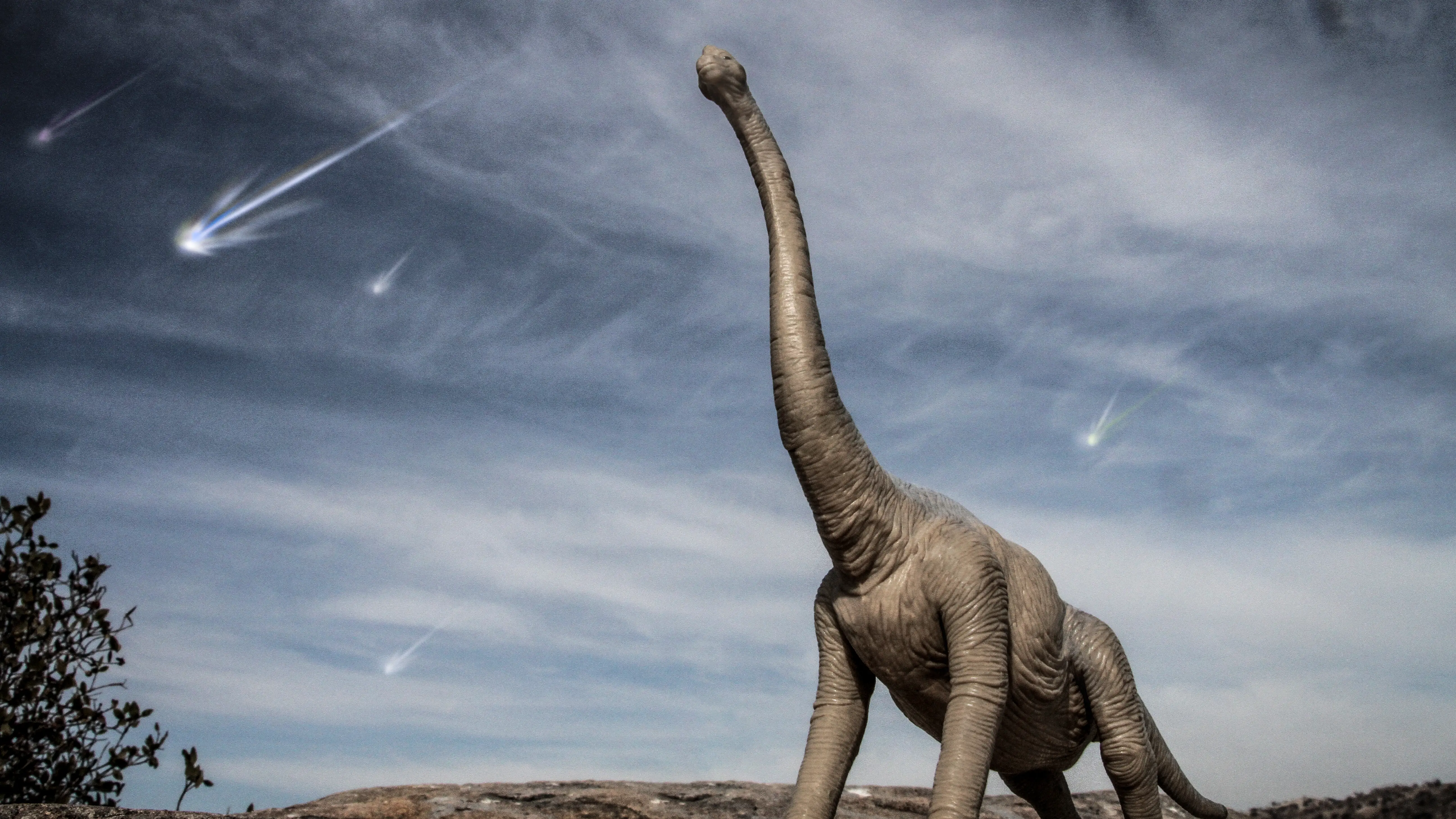 Pollen grains are telling the story of asteroids, dinosaurs, Mayans and others
