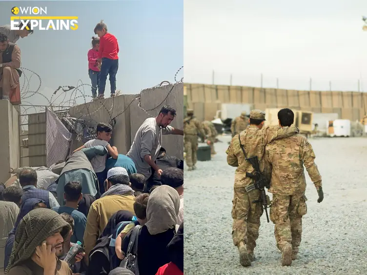 Trump admin launches review of US troops' withdrawal from Afghanistan: Timeline from 9/11 attack to end of '20-year-war' | WION Explains