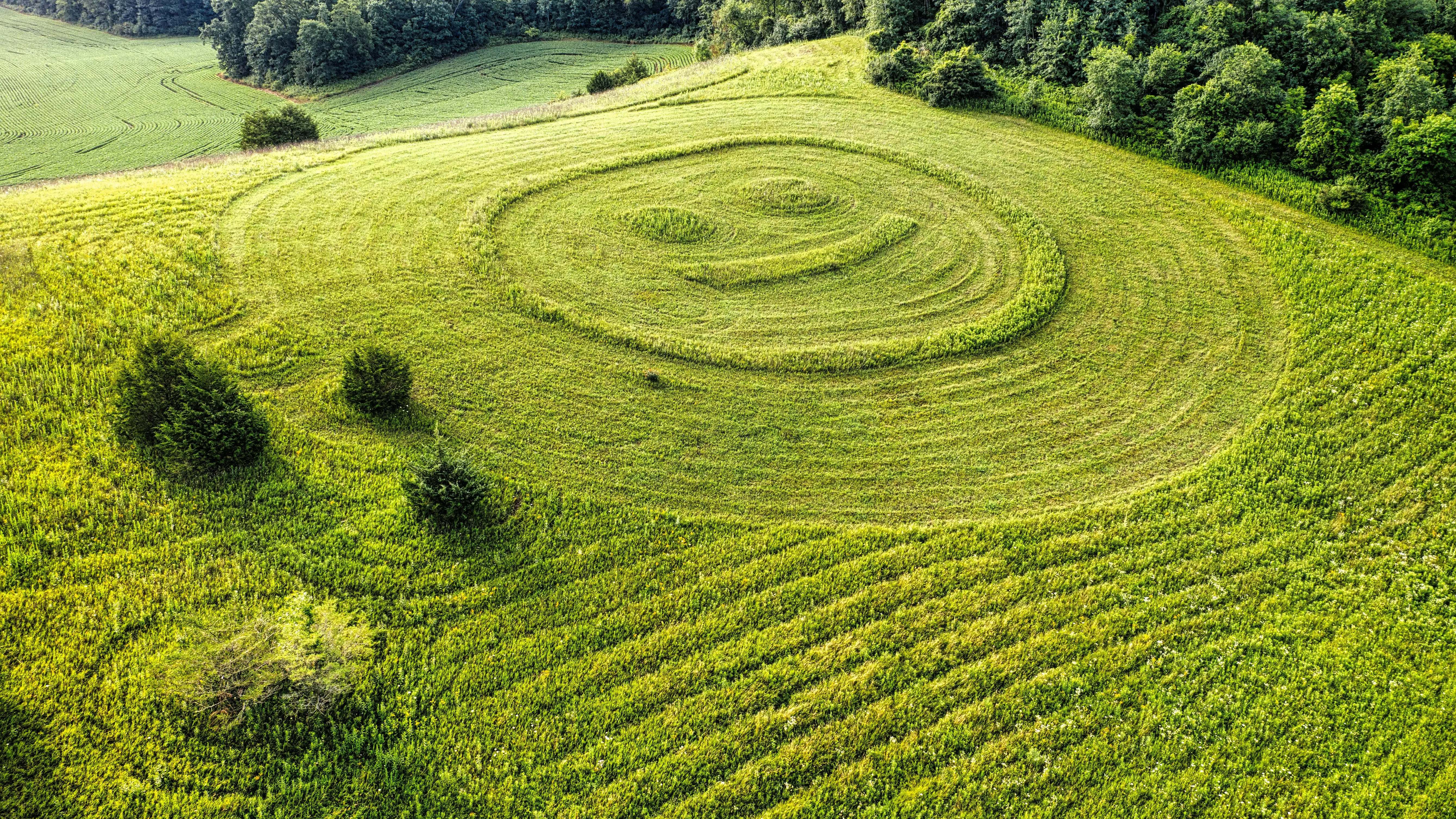 Crop circles linked to aliens appear in two hubs of extra-terrestrial activity within 4 days of each other