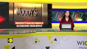 India’s domestic demand, size shield against global shocks