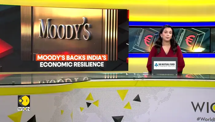 India’s domestic demand, size shield against global shocks