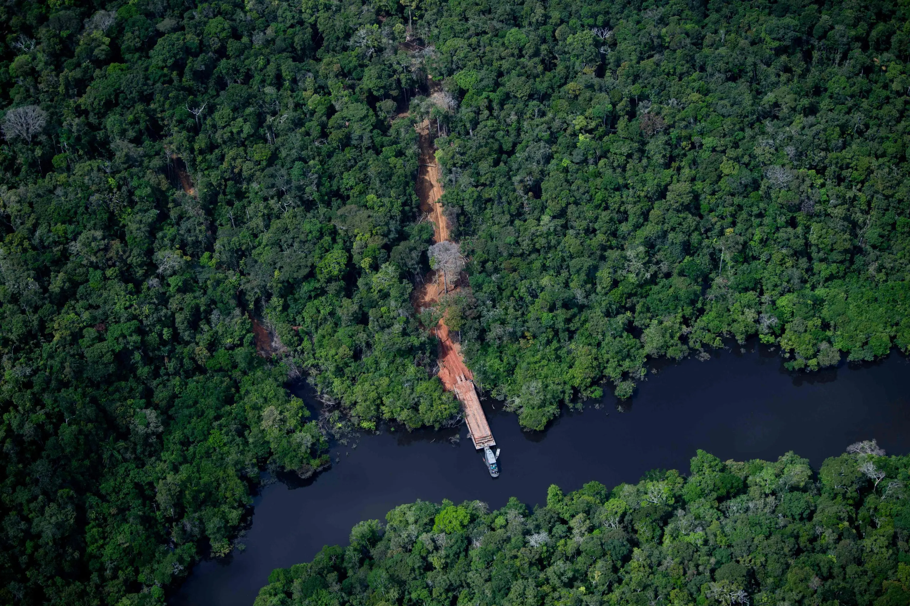 Indigenous Amazon tribe sues US newspapers for portraying members as porn-addicts | Here's what lawsuit says