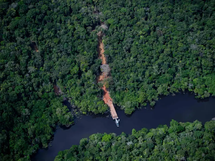Indigenous Amazon tribe sues US newspapers for portraying members as porn-addicts | Here's what lawsuit says