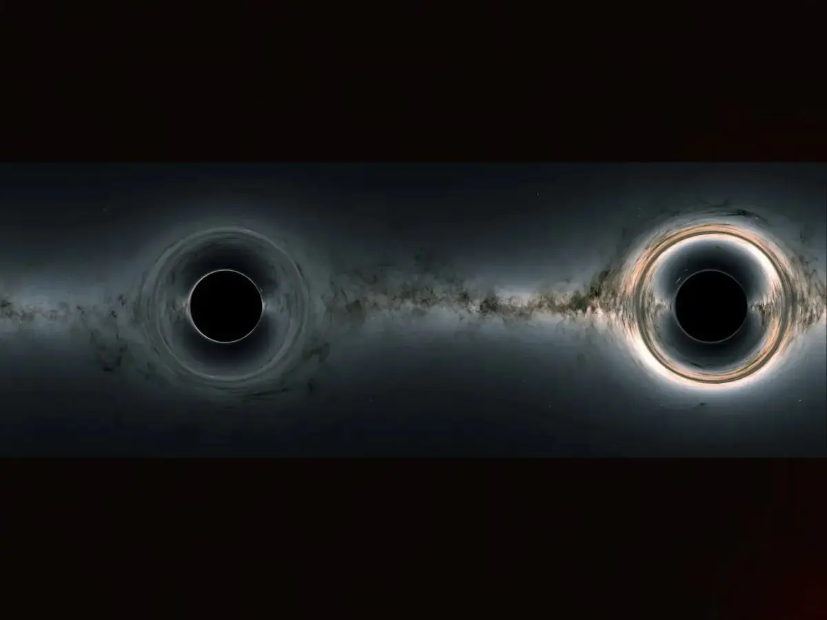 What Black Holes Are Not?