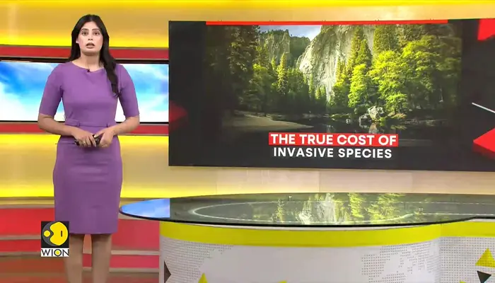  Europe faces highest economic losses from invasive species 