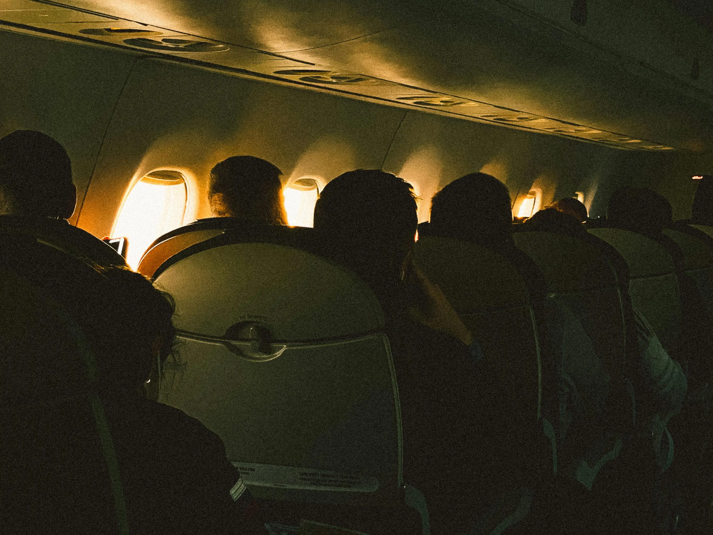 'We have a wildlife situation': Rogue pigeons give plane passengers a scare 'We have a wildlife situation': Rogue pigeons give plane passengers a scare