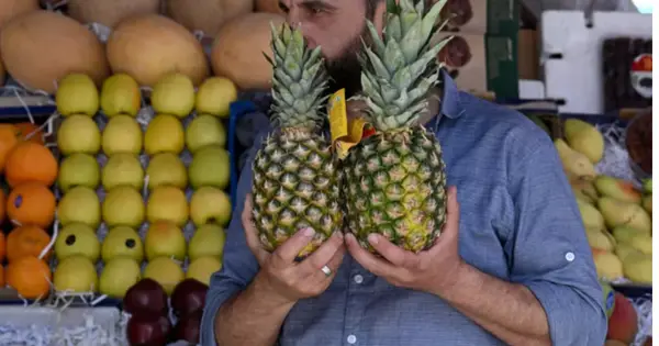 In resurging Syria, 'era of pineapple-phobia is over'