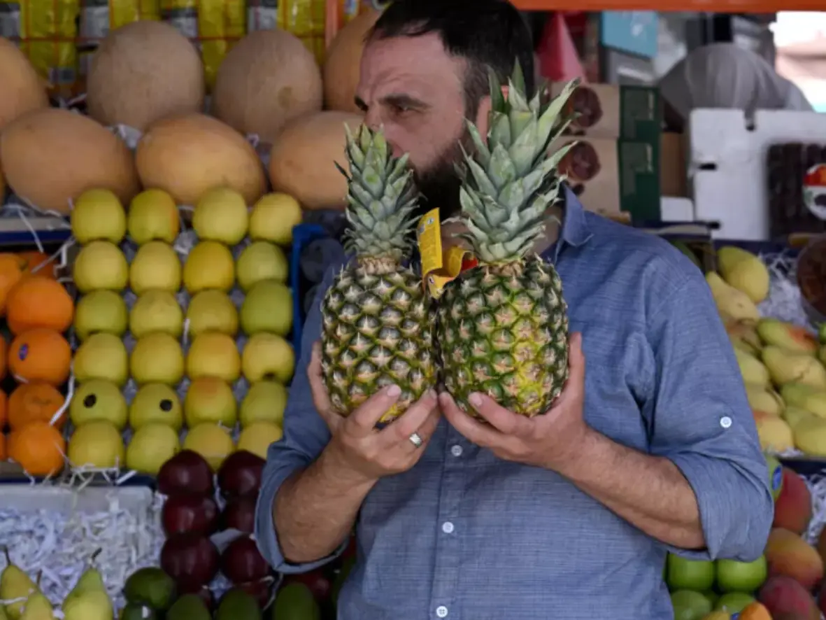In resurging Syria, 'era of pineapple-phobia is over' In resurging Syria, 'era of pineapple-phobia is over'