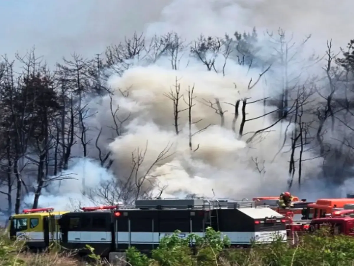 South Korean navy patrol plane crashes, 2 dead; rescue operations underway - Video