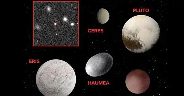 Newly discovered dwarf planet