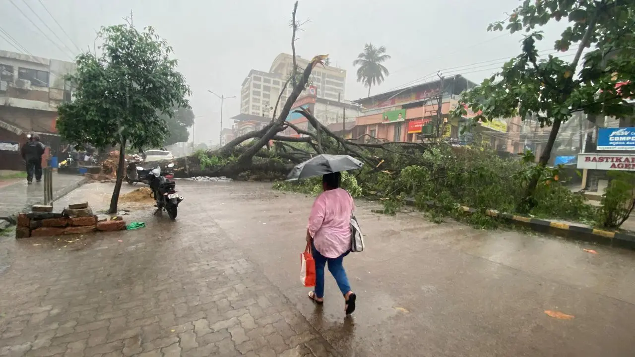 Karnataka rains: 67 dead as state receives 150% above normal rainfall