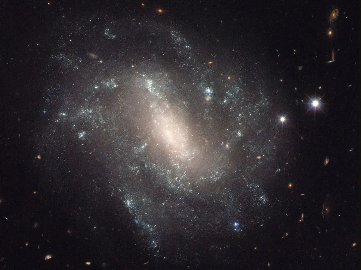 Dark Energy and the Accelerating Universe