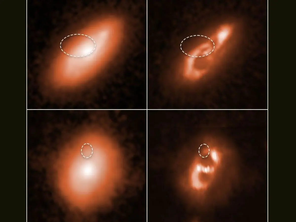 The Signal That Won’t Stop, Fast Radio Bursts