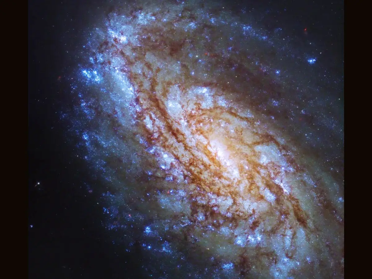 The Virgo Supercluster: Our Cosmic Region