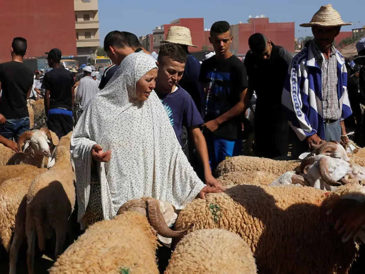  Morocco authorities seize sacrificial sheep after King bans Eid al-Adha ritual 