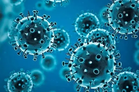 What is mRNA vaccine? US researchers develop new 'proof-of-concept' type to fight COVID-19