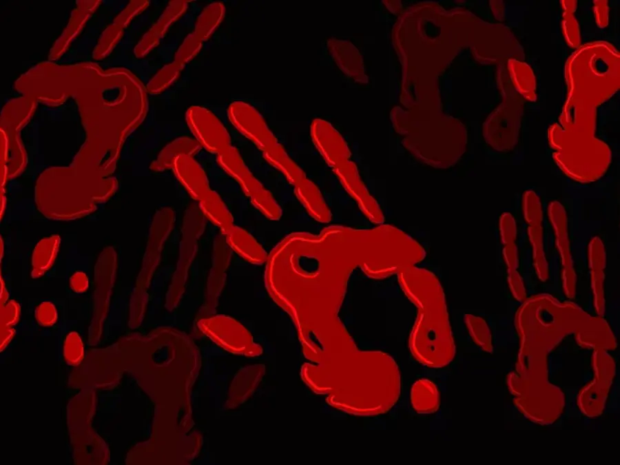 From Sana Yousaf to Amina Bibi, Pakistani women who were killed to satiate fake male pride