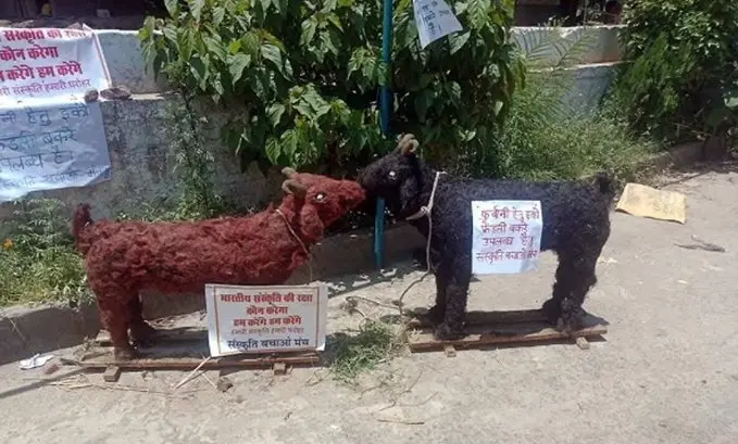 Clay goats for Eid al-Adha? This organisation is selling goats for ₹1,000 for eco-friendly Eid