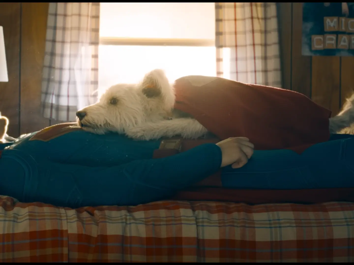 Superman: James Gunn confirms that an animated Krypto series is in the works Superman: James Gunn confirms that an animated Krypto series is in the works