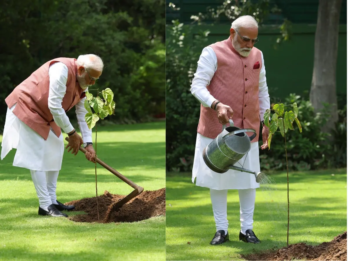 World Environment Day: PM Modi plants Sindoor sapling gifted by Bhuj women who helped Indian armed forces in 1971 war World Environment Day: PM Modi plants Sindoor sapling gifted by Bhuj women who helped Indian armed forces in 1971 war