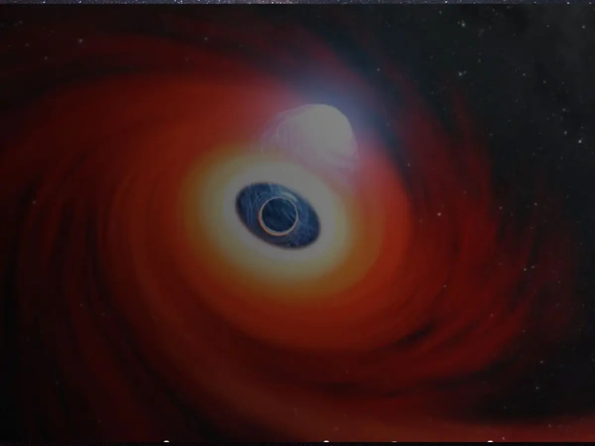 Introducing Extreme Nuclear Transients