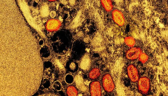  'Just one mutation away', COVID-19-like virus in China could spark outbreak: Study 