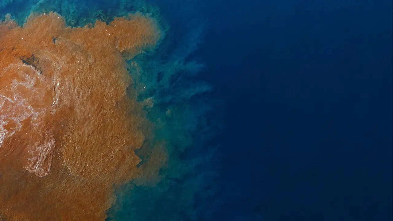 Chemical Pollution From Industrial Sources Causes 10 Percent of Cancer Cases