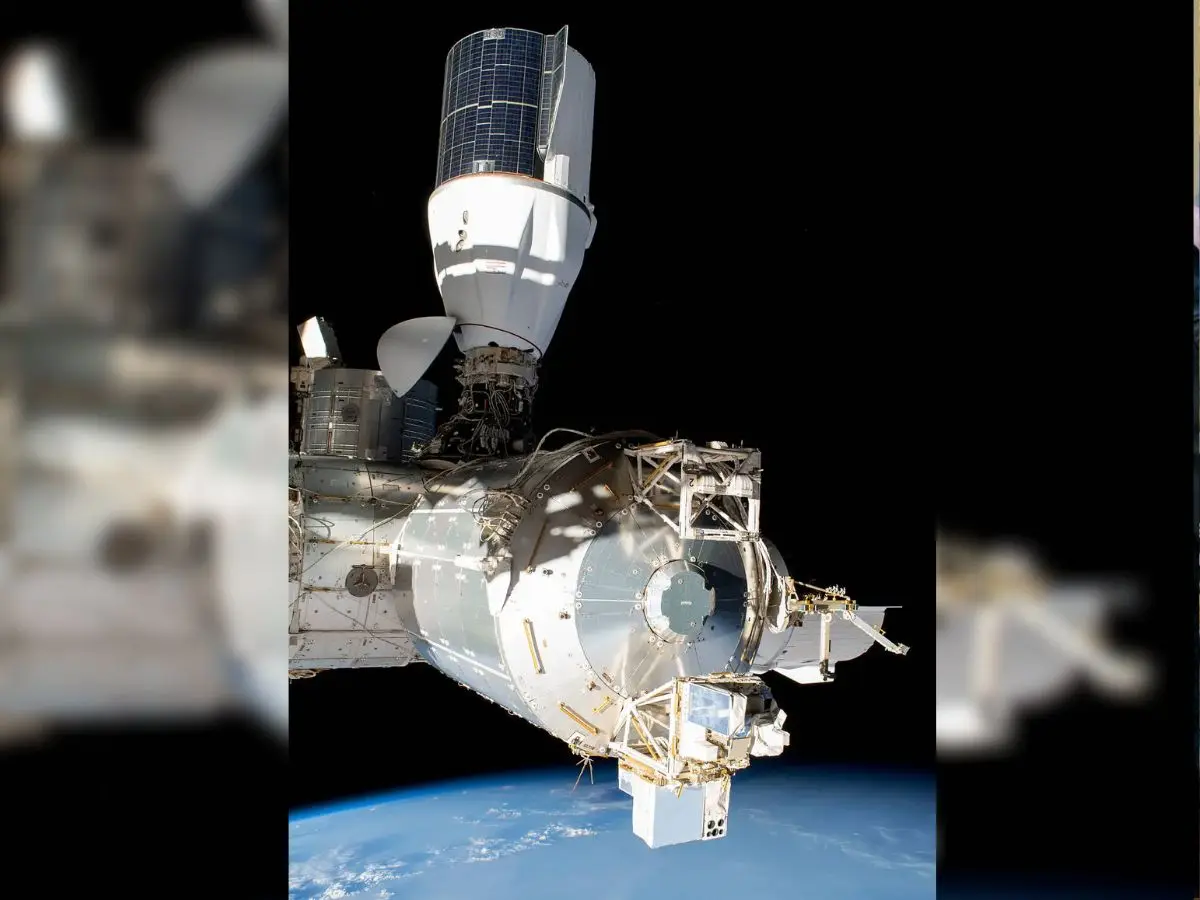 India’s Lesson in Self-Reliance